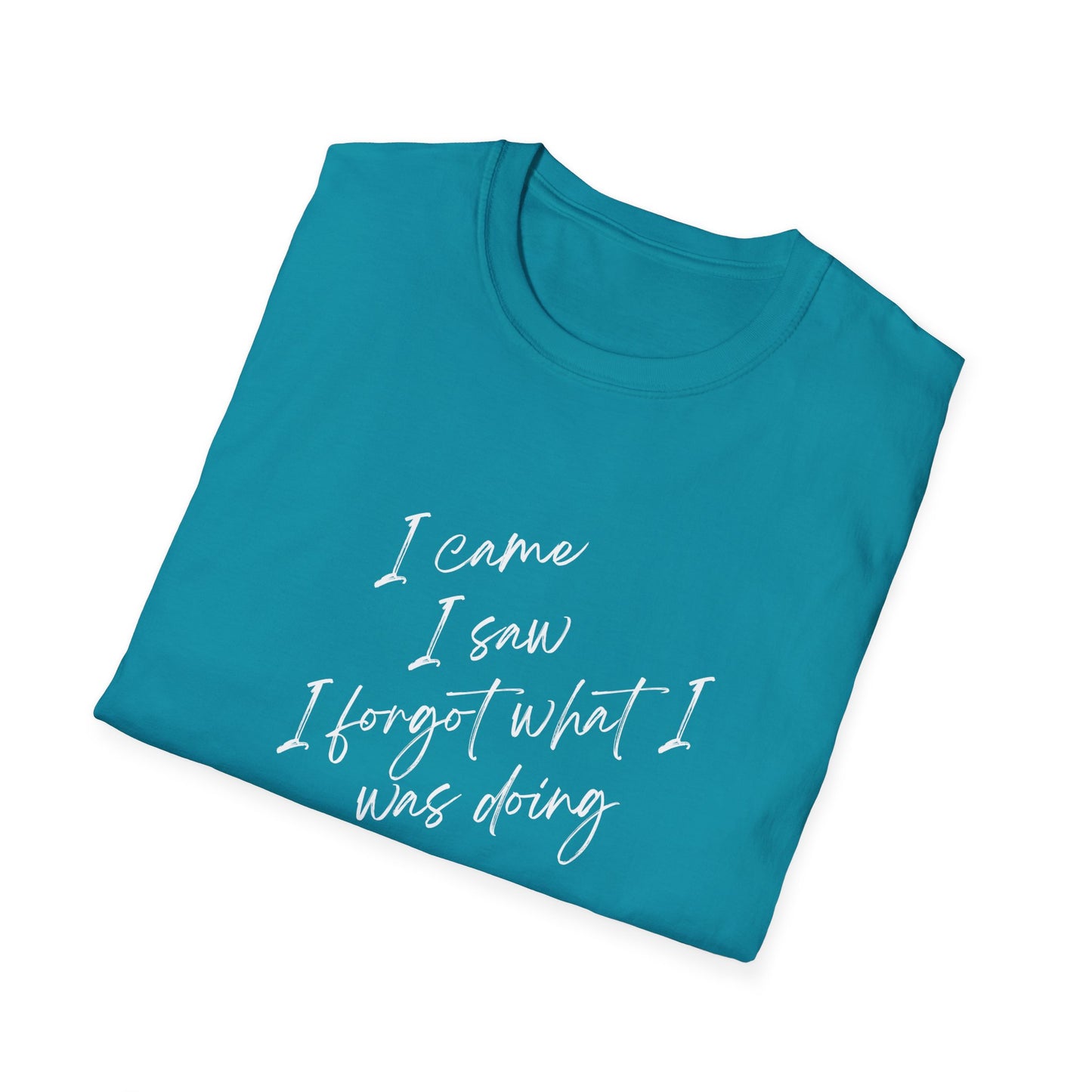 I Came, I Saw, I Forgot What I Was Doing - Parenting Tee